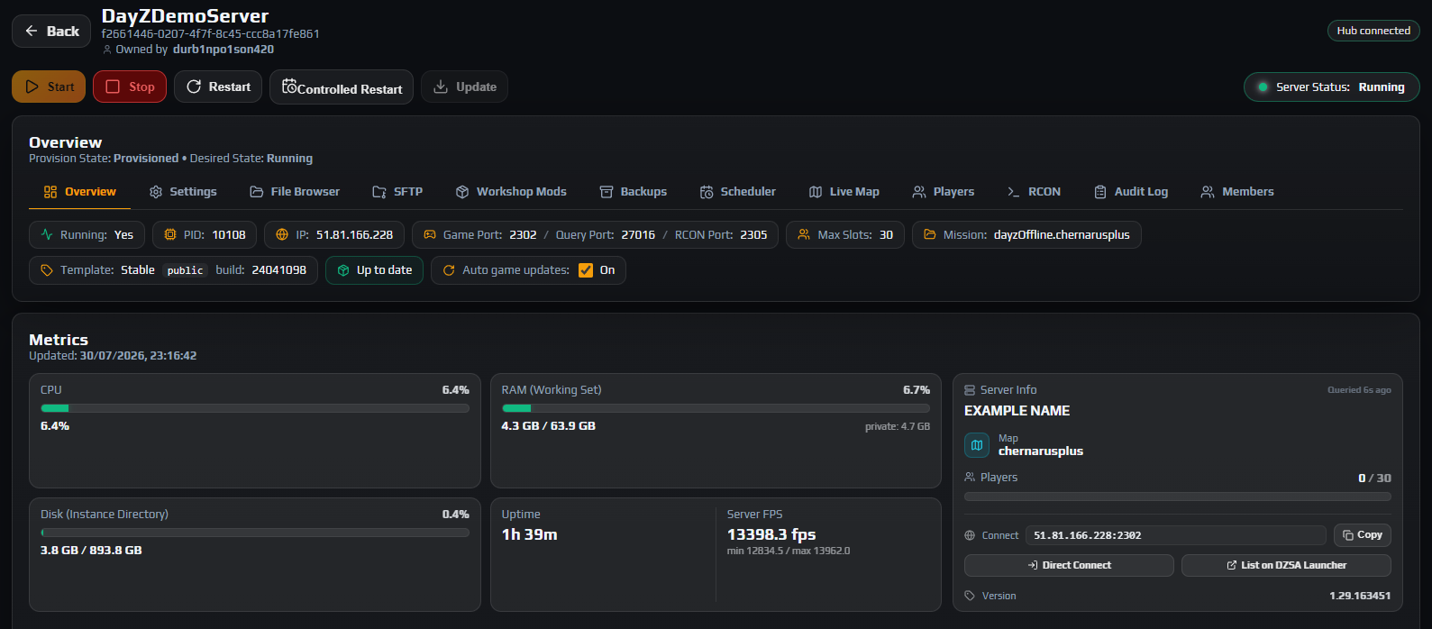 Overview tab with Server Status Running, populated Server Info panel and live RPT log output